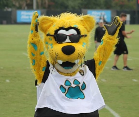 Jacksonville Jaguars