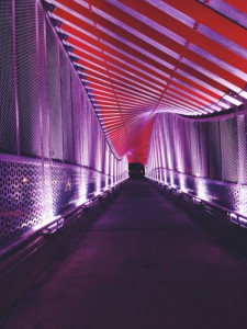 DNA bridge in Gainesville, FL